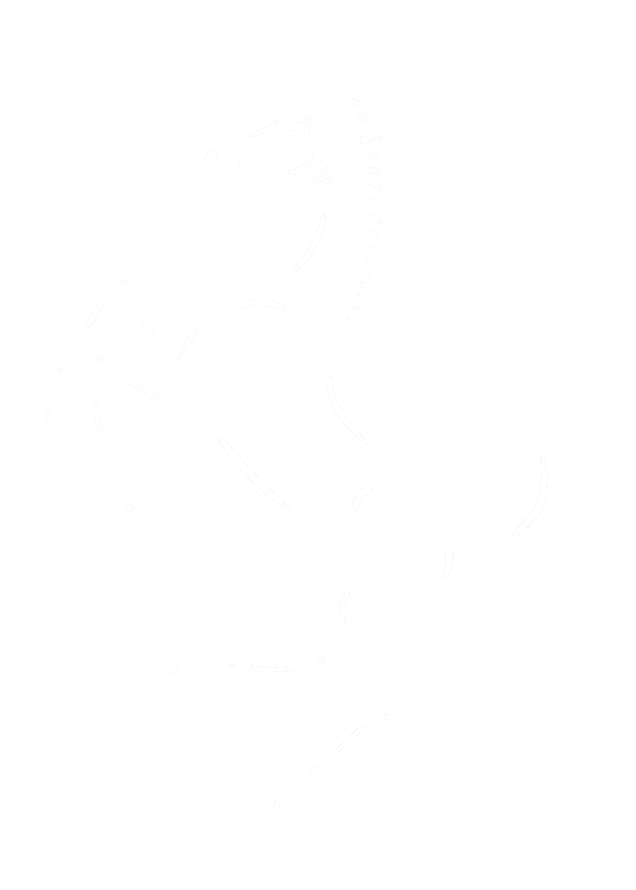 Ferrari logo